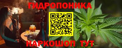 spice Шелехов